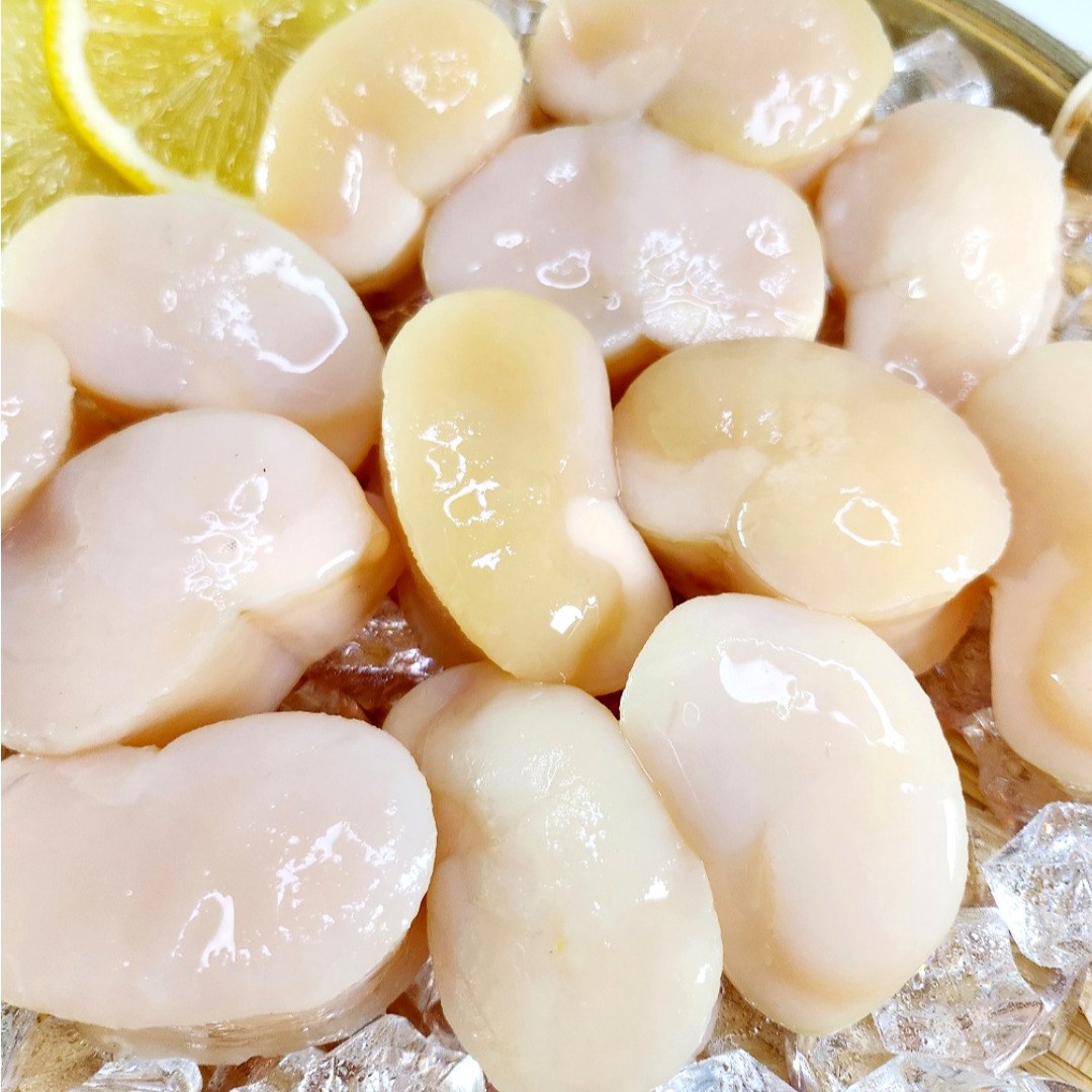 수산잇츠 냉동 키조개 통관자 32,100원