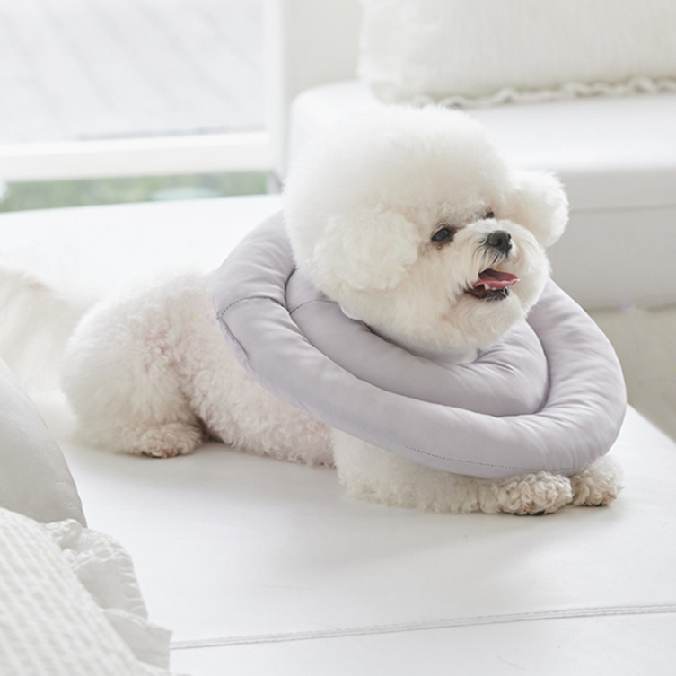 반려생각 UFO 반려동물 넥카라 4,650원