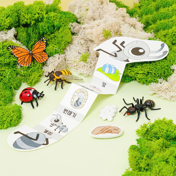 곤충도감 한살이 성장 북아트 (피규어포함) 7종 9,900원