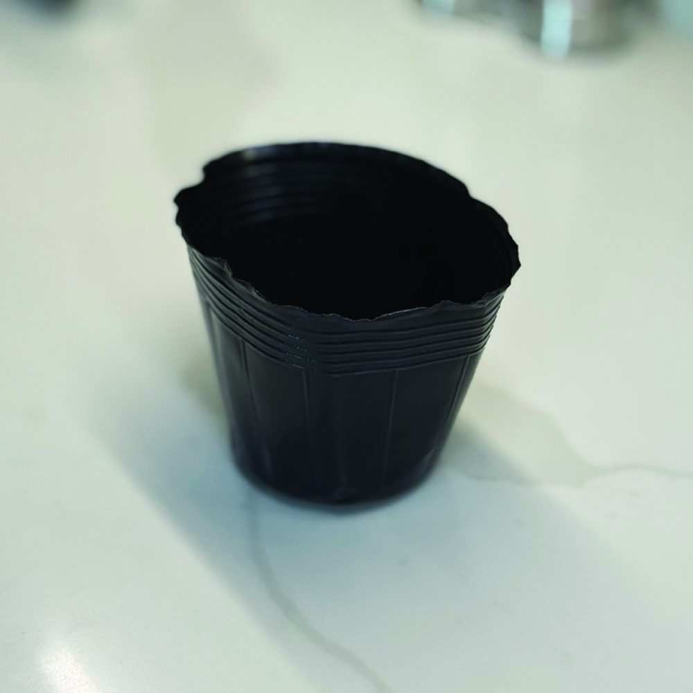 포트5치(21) 검정비닐포트 1000개 모종 묘목 플라스틱화분 분갈이흙, 1000개, 검정 120,000원