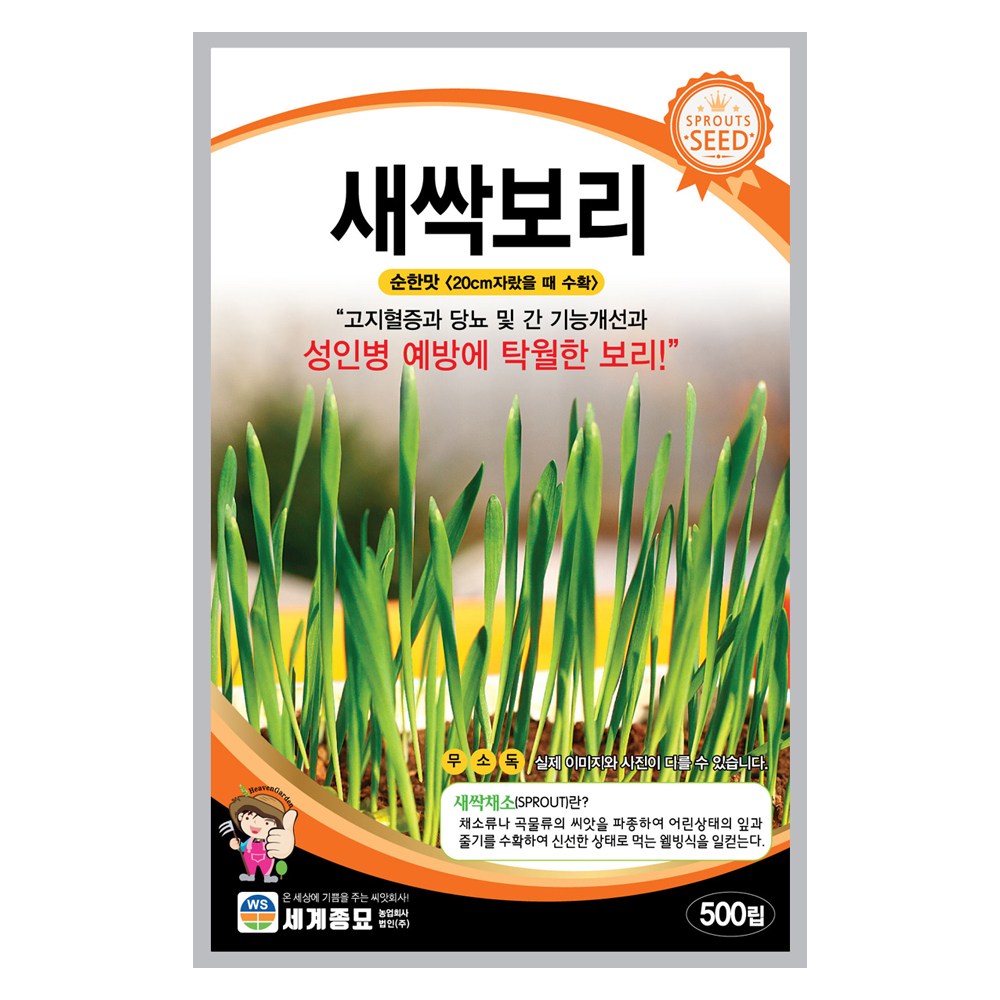 모칸도 새싹보리 씨앗 500립 세계종묘 새싹씨앗 5,000원