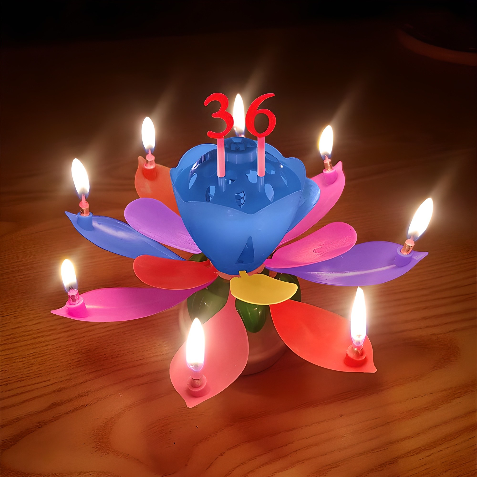 스토리빙 생일 축하 초 연꽃 멜로디 선물 파티 용품 + 숫자 토퍼 19p 세트 3,520원