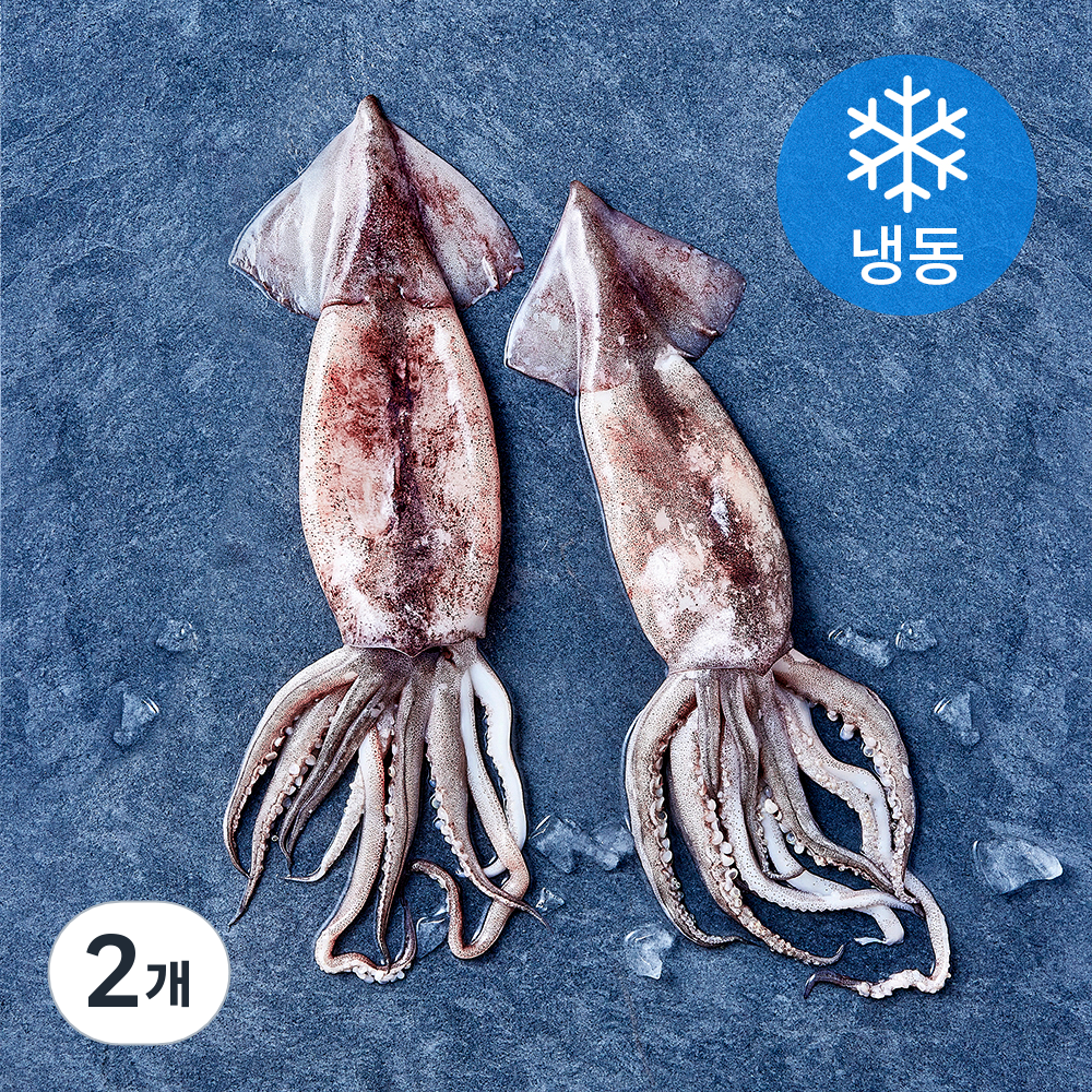 [로켓프레시] 비비수산 살아있을때 깔끔하게 손질한 통오징어 (냉동) 18,410원