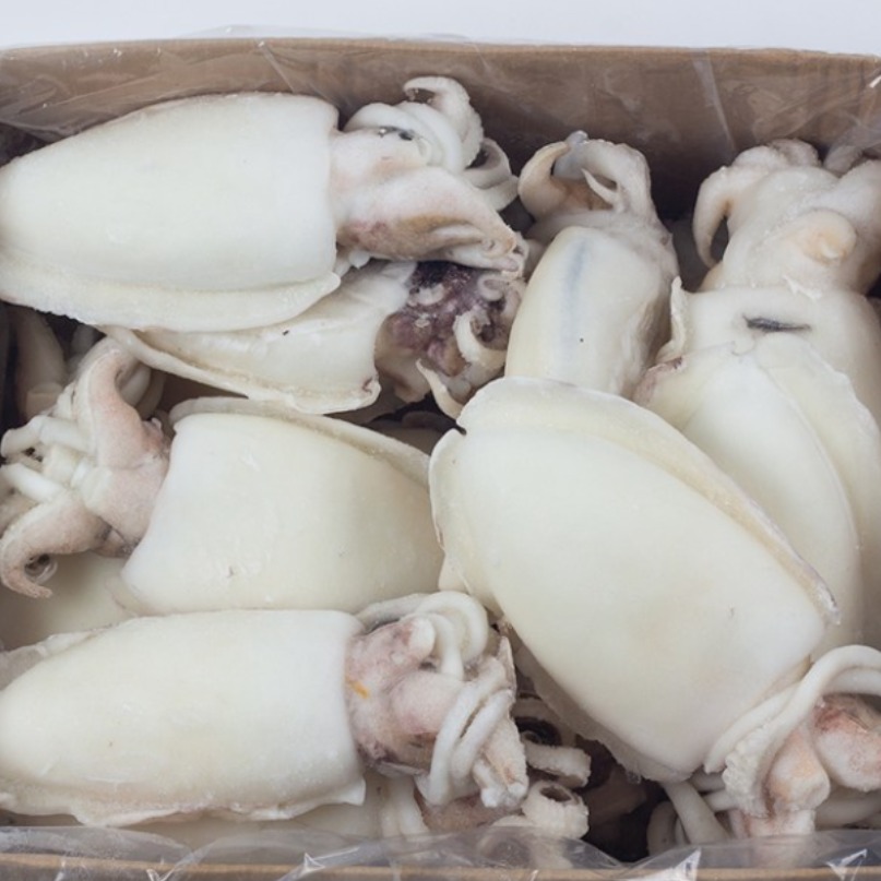 손질 갑오징어 홀크린 300500 5kg 12미내외 껍질내장제거 냉동갑오징어 벌크, 1박스 86,000원