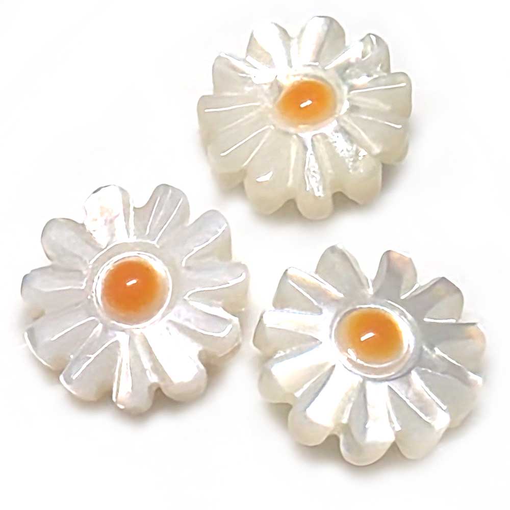 ALL 원석장식 자개비즈 일반 흑자개 한팩, 상품선택, 데이지꽃 (3개) 10,900원