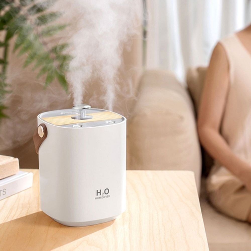 청성기업 미세분무 더블제트 가습기 LED 무드등 손쉬운 저수조청소 사무실 카페 집안 25,270원