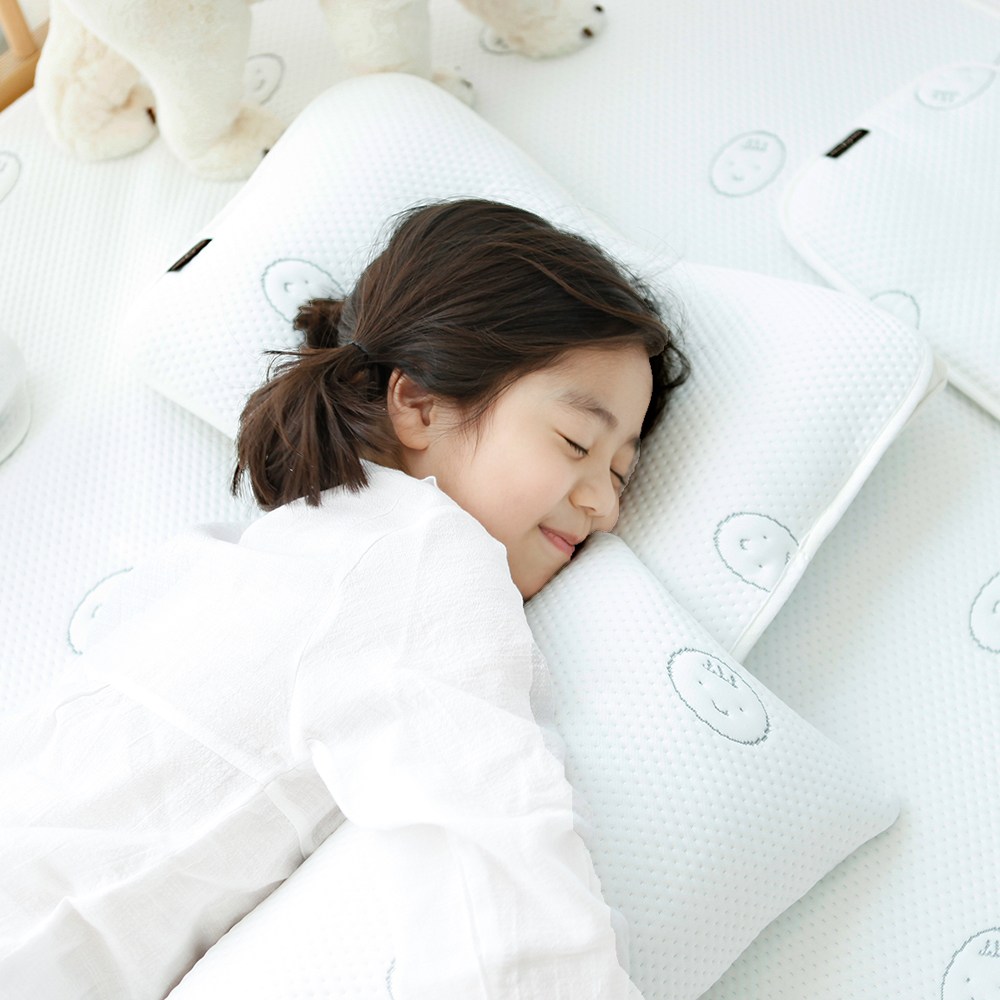 아이차유 냉랑이 듀라론 냉감 베개커버 여름 쿨링 아이스 태열베개 19,900원