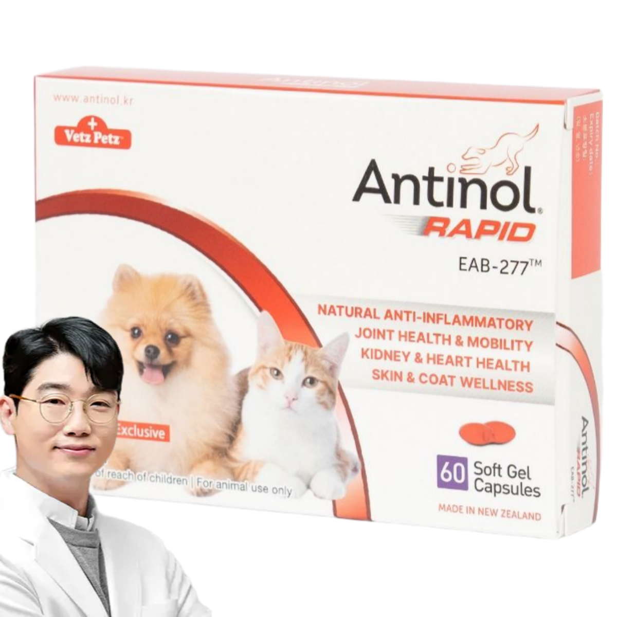 안티놀 래피드 70,900원