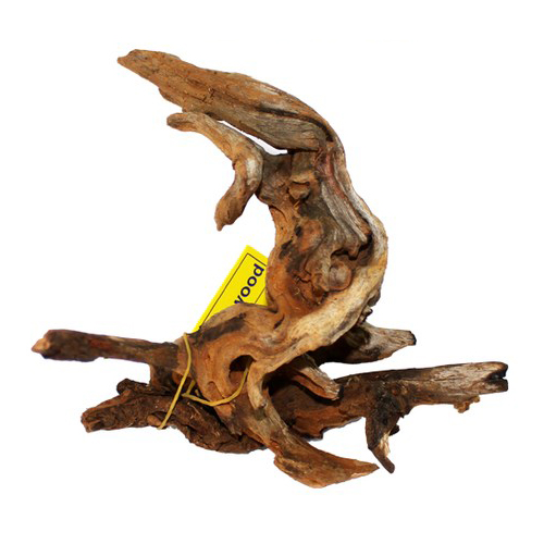 샘아쿠아 프리미엄 와일드 유목 5,490원