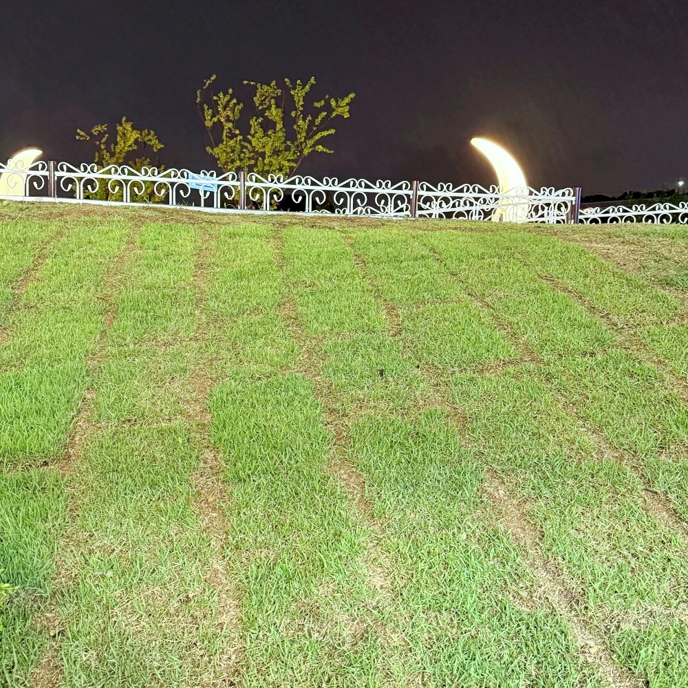 청년농부 40x60 잔디 2장 마당잔디 잔디조경 공원 캠핑장 롤잔디 10,300원