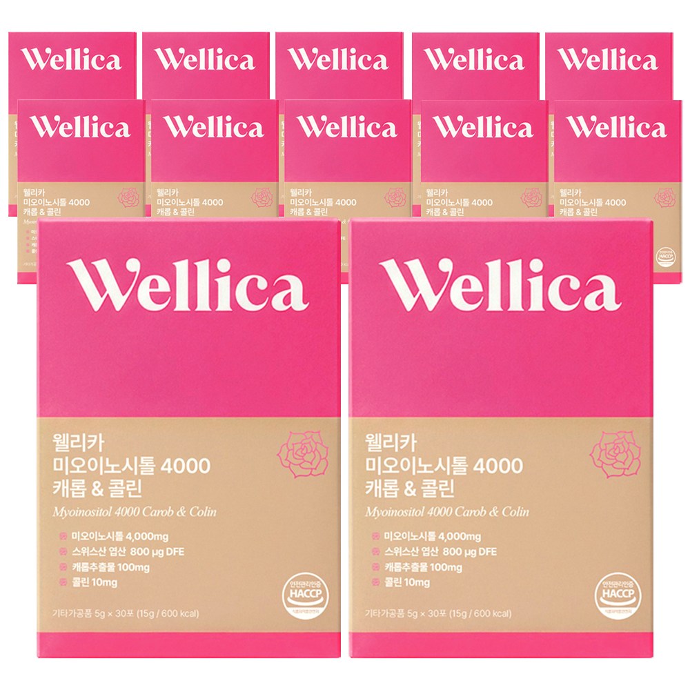 웰리카 프리미엄 미오이노시톨 4000 캐롭 & 콜린, 12개, 150g 240,000원