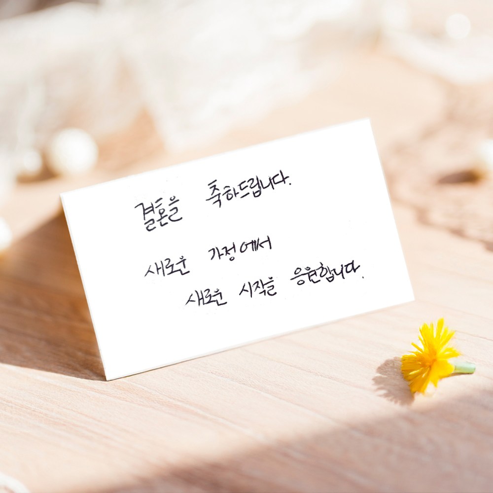 올화이트 메세지카드 풀세트 (카드40p+봉투20p+스티커24p) 1Set. 데일리브릿지 8,700원