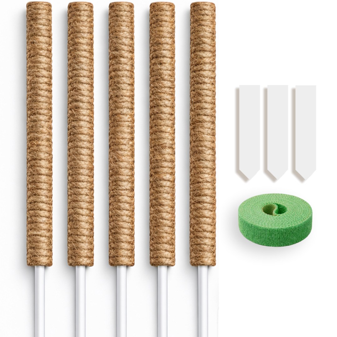 위로공방 식물지지대 수태봉 슬림 연결형 36~65cm 몬스테라 코코봉, 1세트 19,700원