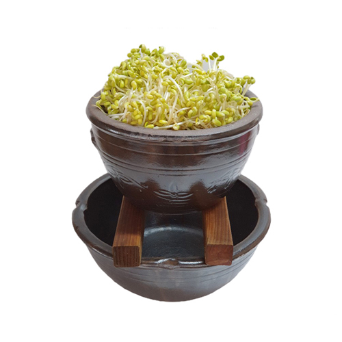 옹기 콩나물재배기 3호 랜덤발송 31,470원