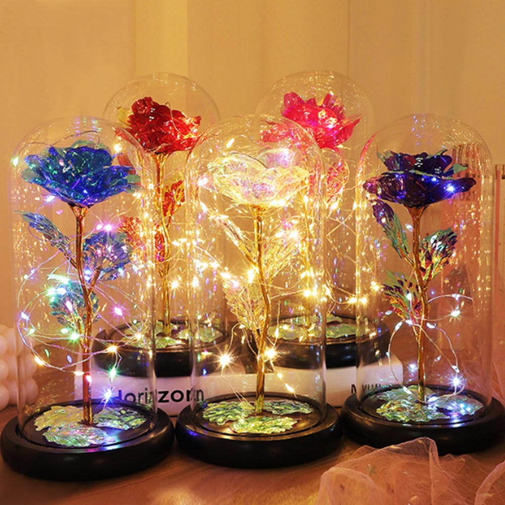 시그무드 유리돔 꽃다발 프리저브드 기념일선물 무드등 13,880원