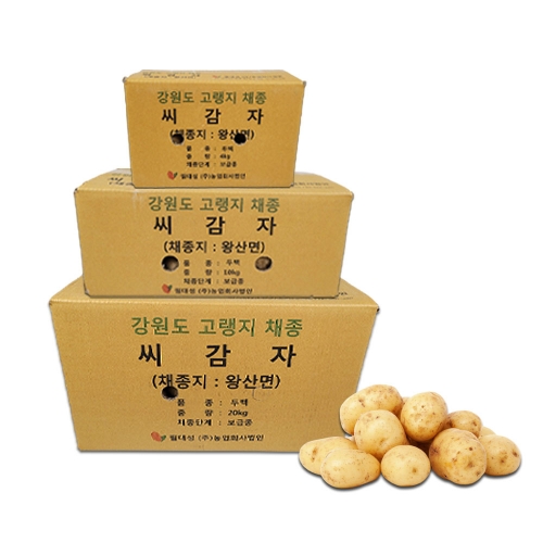 영농사 파종용 20KG [두백] 씨감자 1박스 보증종자, 1개 50,000원