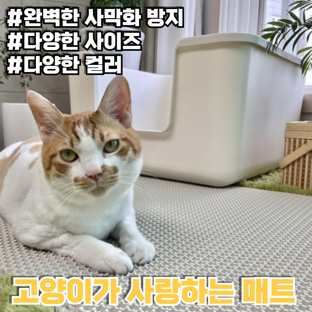 starcat 고양이 사막화 방지 매트 고양이 모래매트 화장실 발판 45,000원
