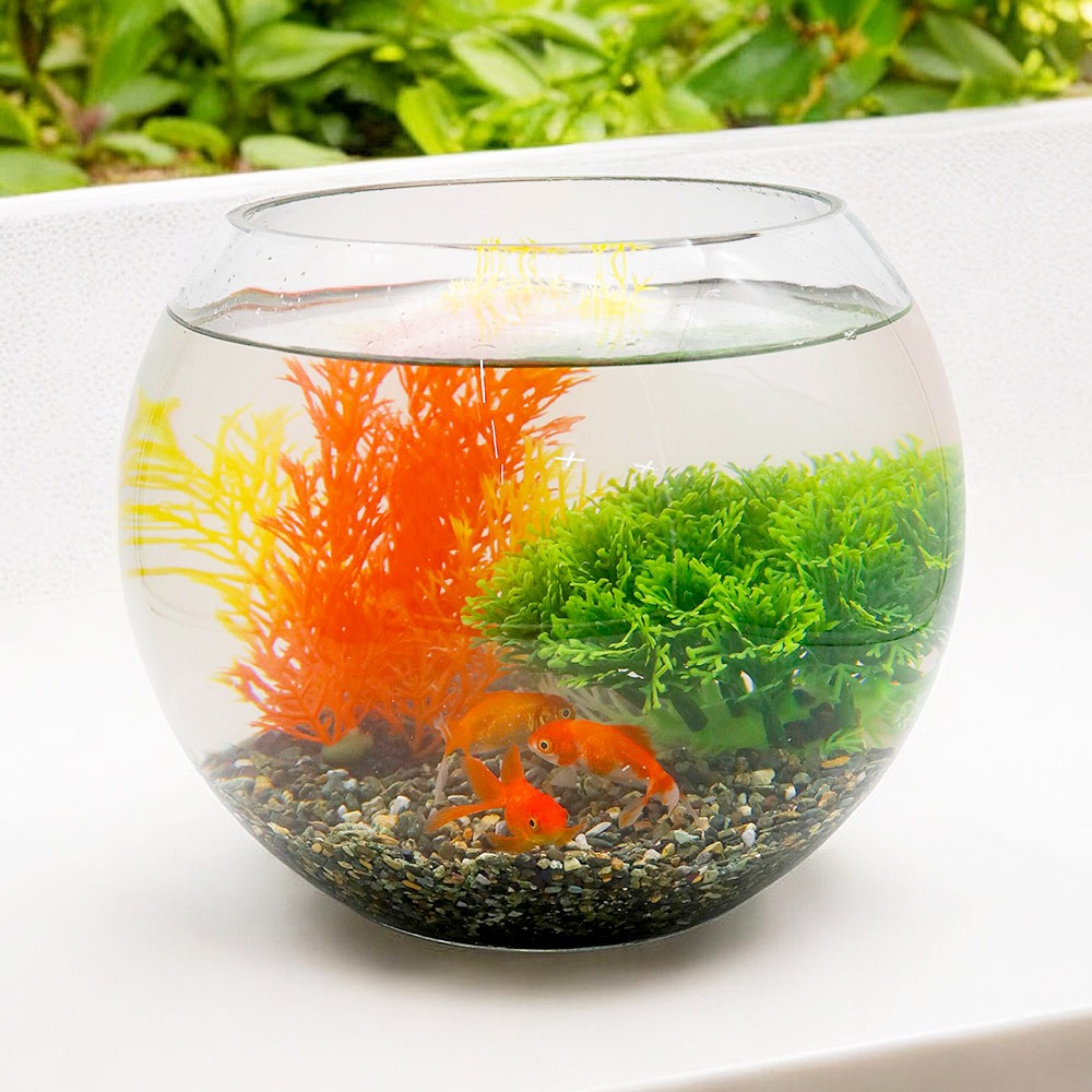미미네아쿠아 원형 금붕어 키우기 SET (여과기형) 31,000원