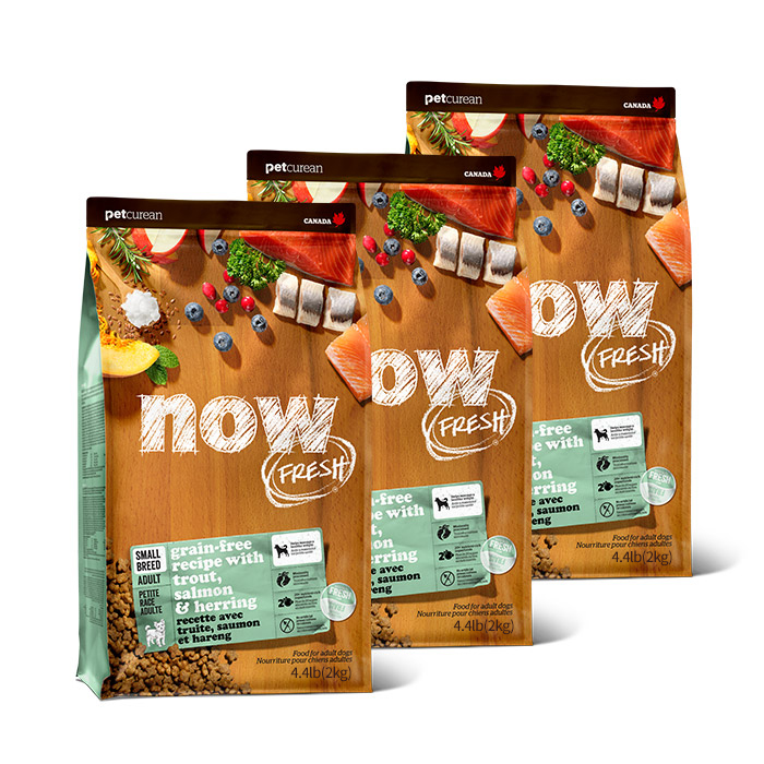 now 어덜트 강아지 프레쉬 스몰브리드 피쉬 레시피 건식사료, 연어, 2kg, 3개 98,820원