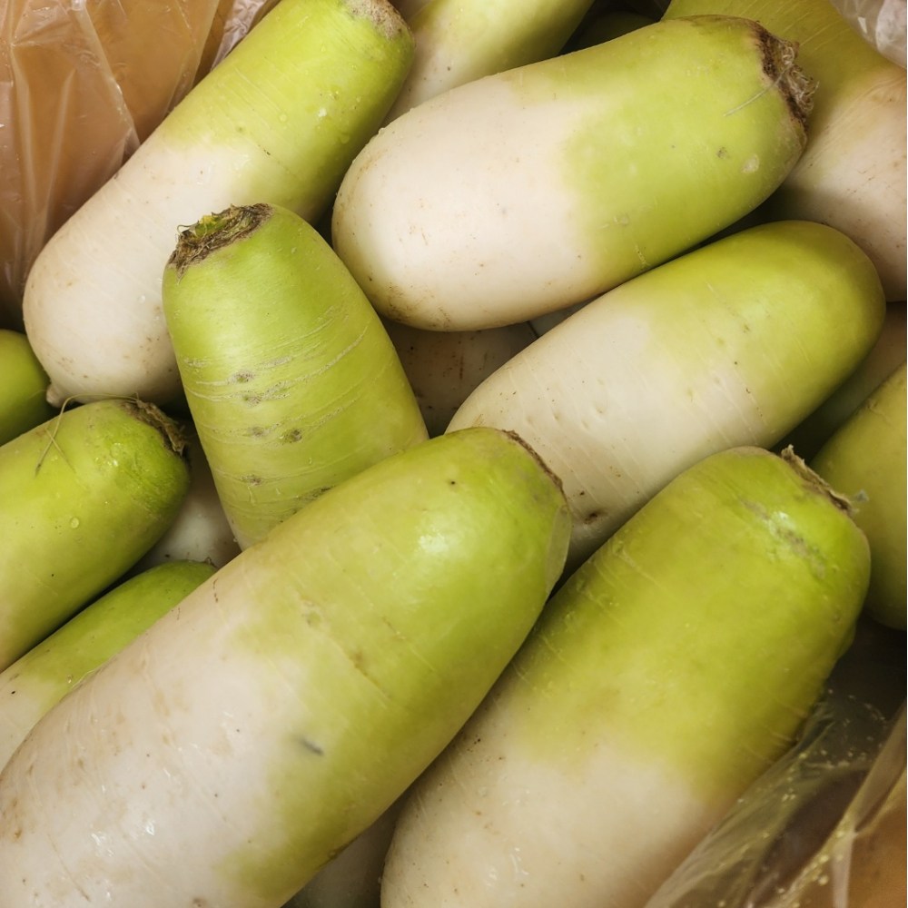 금메달농수산 정품 제주 월동 세척무 8,100원