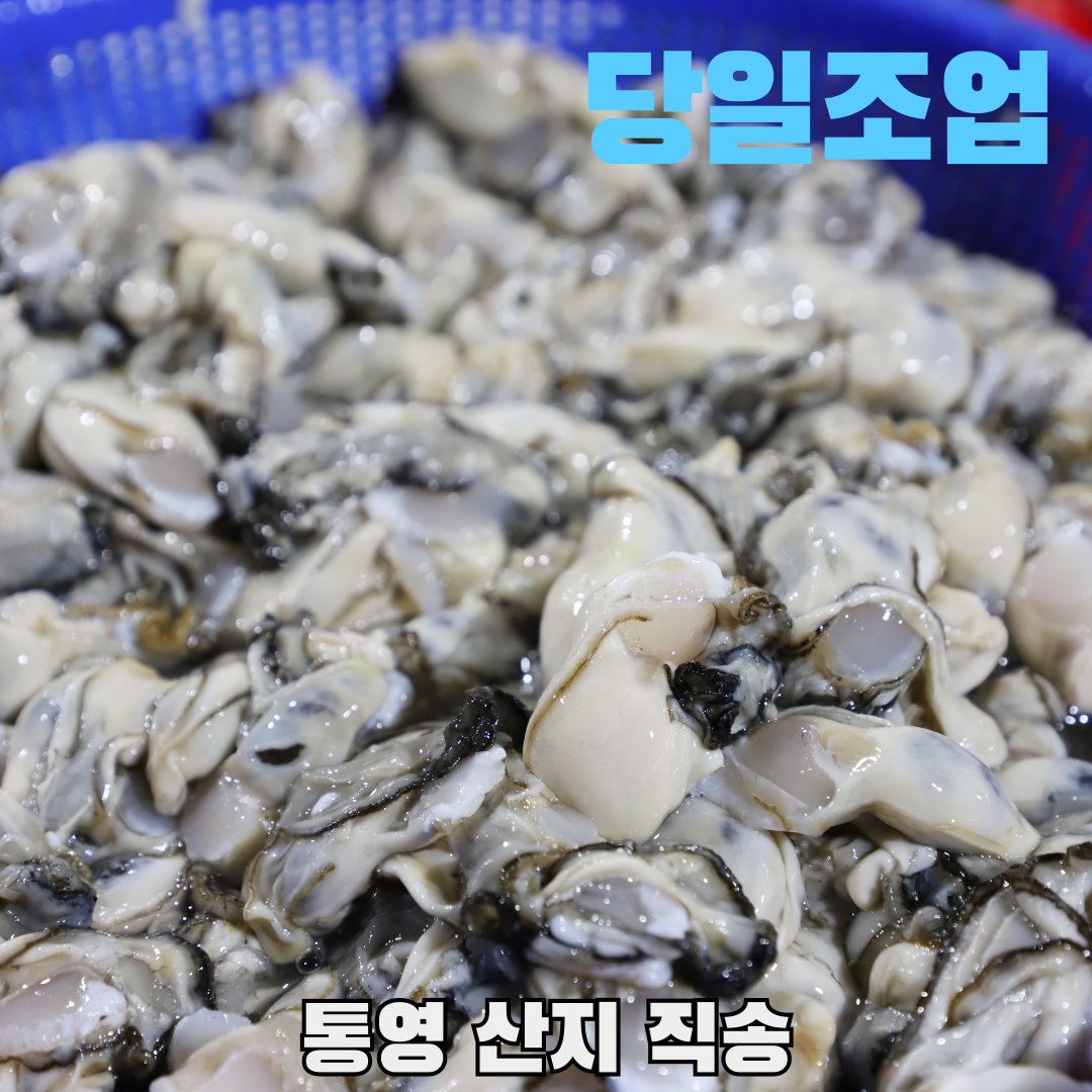 통영 당일조업 생굴 깐굴 20,900원