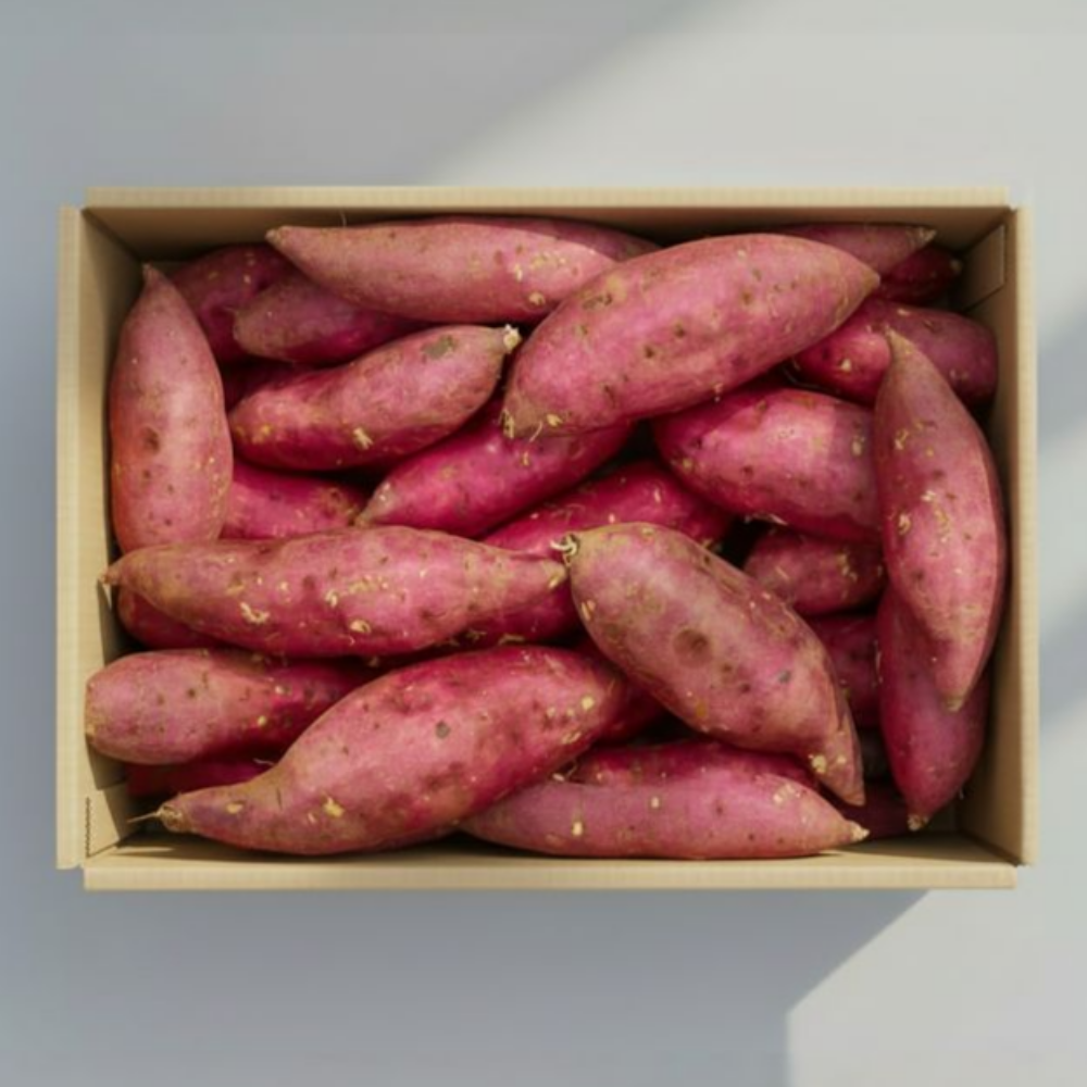 꿀고구마 해남 특품 특상, 1박스, 10kg 38,000원