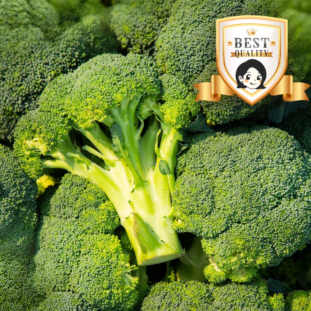 서준엄마네 신선한 국내산 브로콜리 특품 32,000원