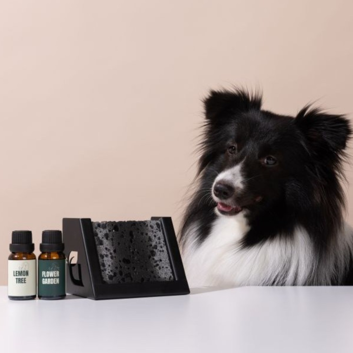 디퓨리 천연 실내 반려동물 스톤디퓨저 강아지 탈취제 고양이 화장실 냄새 제거 방향제, 1개, 15ml, 나무받침대+플라워가든(장미) 41,970원