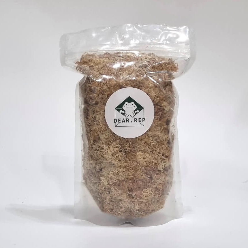 최고급 뉴질랜드산수태 4A 크레스티드게코 도마뱀산란 습식은신처 7,000원