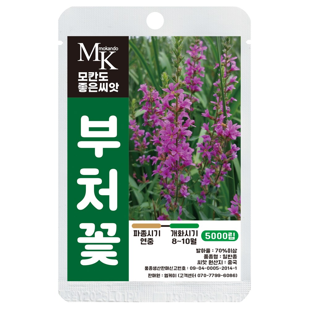 모칸도 좋은씨앗 부처꽃 씨앗 5000립 일반종 꽃씨 꽃씨앗, 1개 3,700원