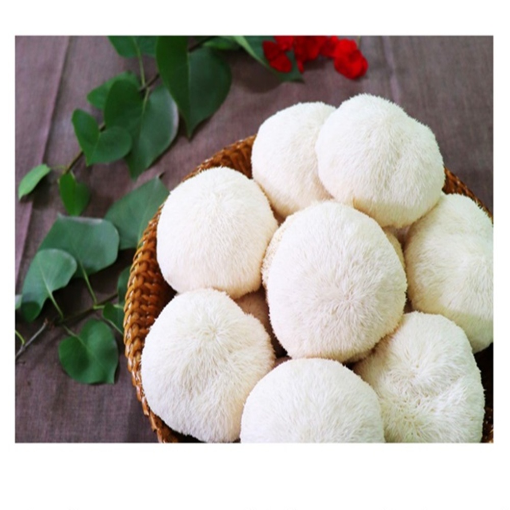 송이뜰 농장 생노루궁뎅이버섯 신선한 농가직송 피로회복 면역력 식품 17,400원