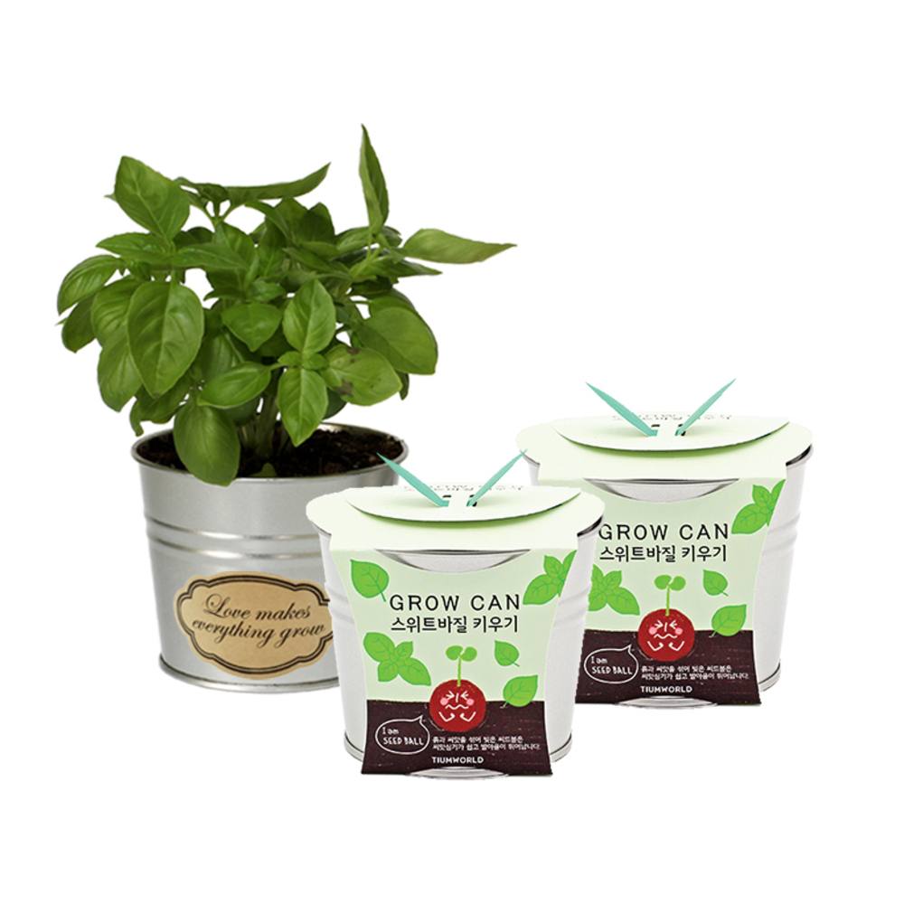 틔움세상 new 그로우캔 스위트바질 키우기 10,540원