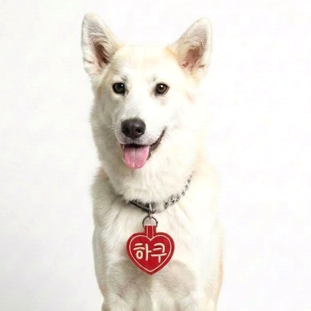 콜마이네임 무지개하트 네임택 강아지 대형견 자수 이름표 인식표, 1개, 빨간색-RED 11,500원