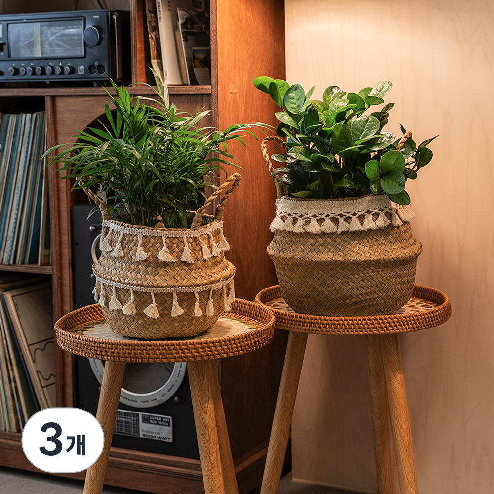 마녀박스 태슬 라탄 화분 커버 바구니 21,000원