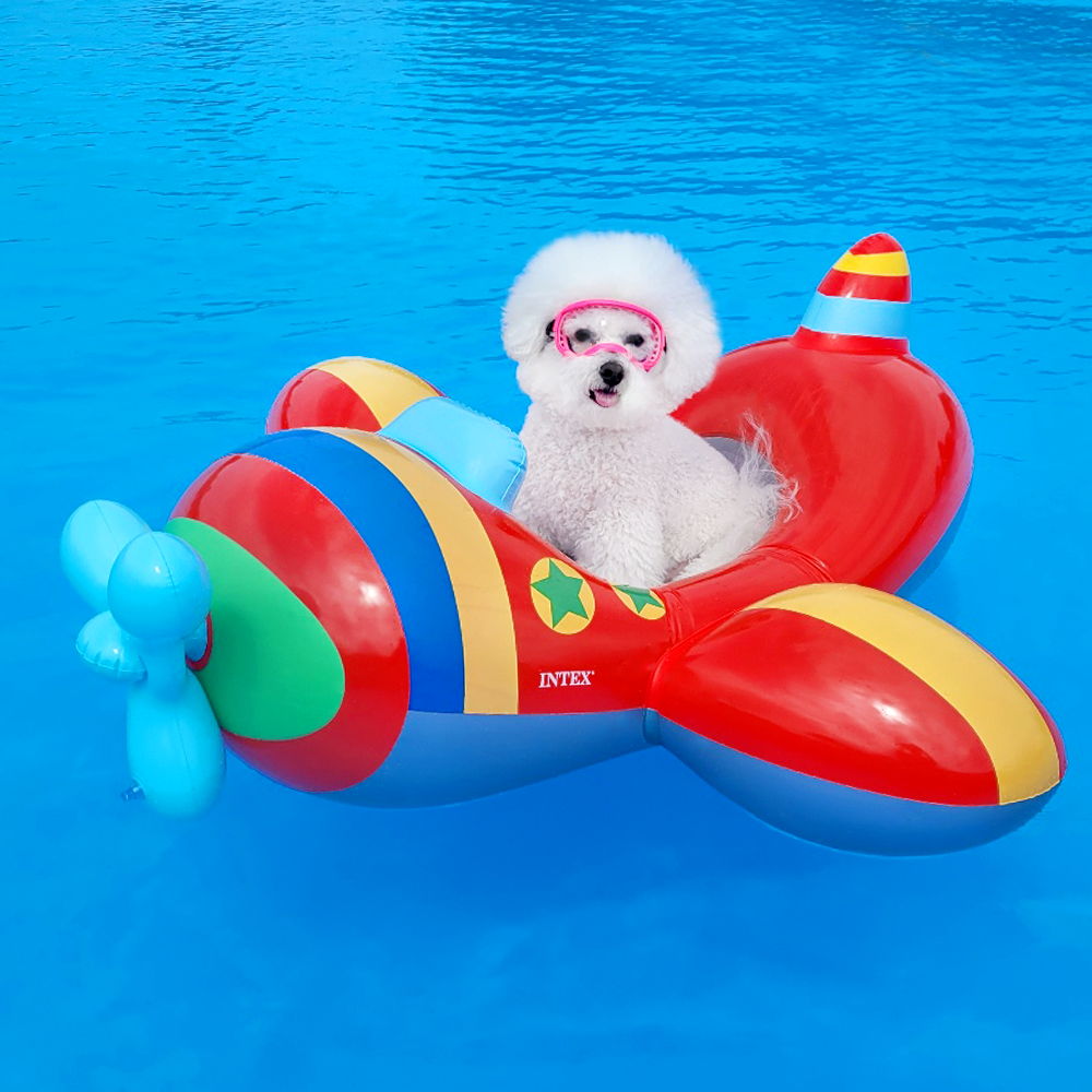 리치독스 강아지 물놀이 비행기 튜브 14,400원