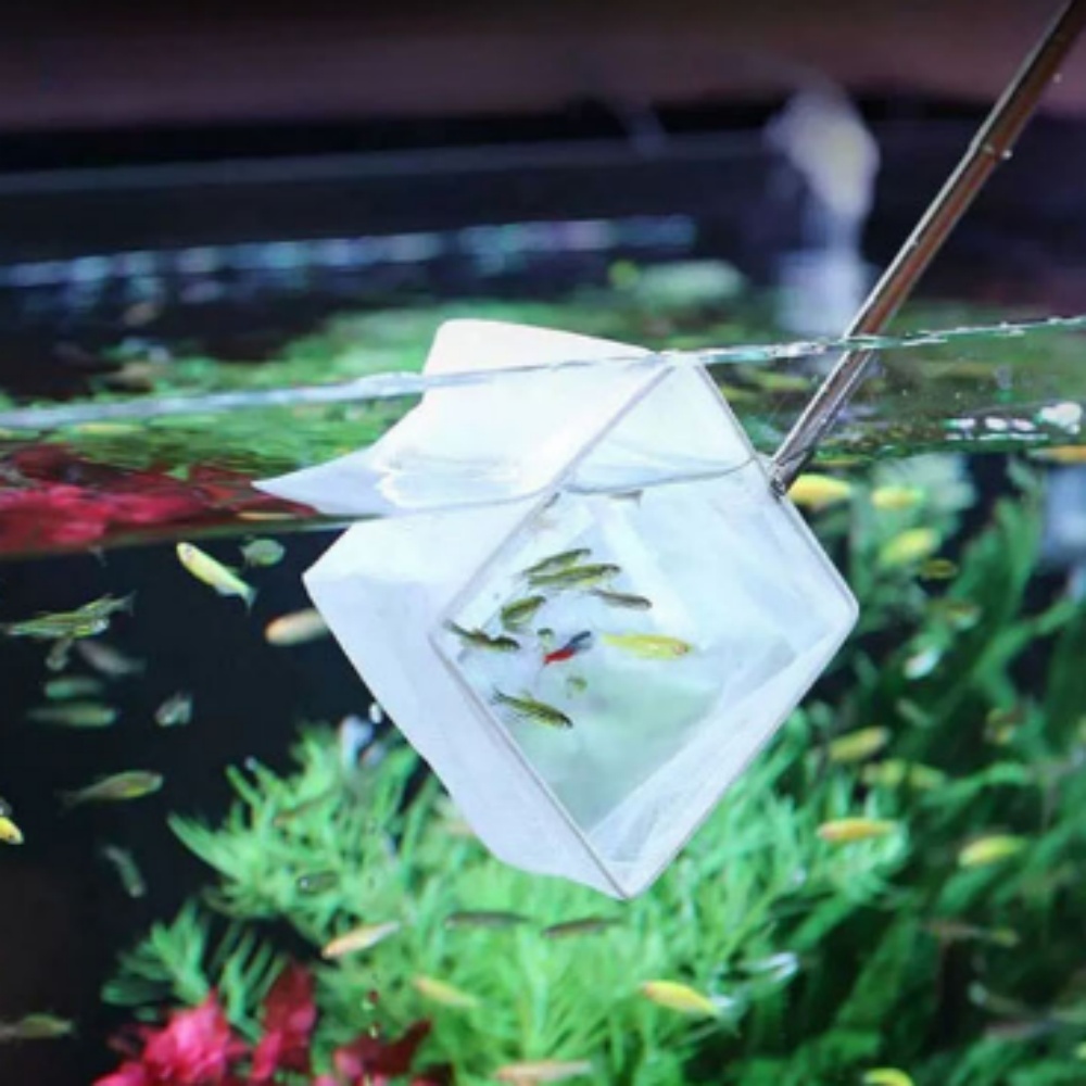 열대어 뜰채 수족관 청소 미세망 관상어 물고기 잡기 8,270원