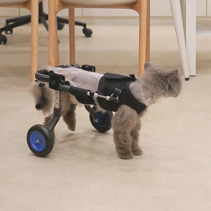 반려동물 강아지 고양이 휠체어 후지마비 뒷다리 보행기, 2륜(후지용) 473,000원