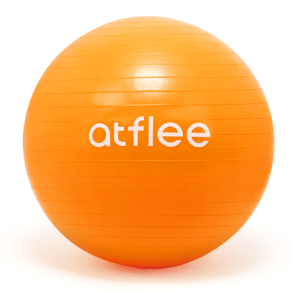 앳플리 GB 안티버스트 짐볼, 탠저린 오렌지 17,900원