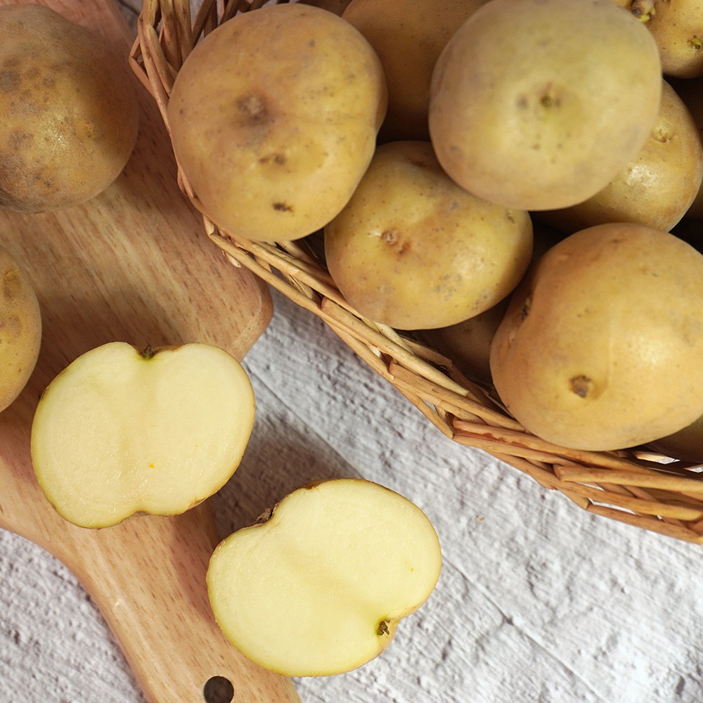 [더조은푸드] 부드럽고 담백한 해남 산지직송 수미감자 (소품~왕왕특) 11,900원