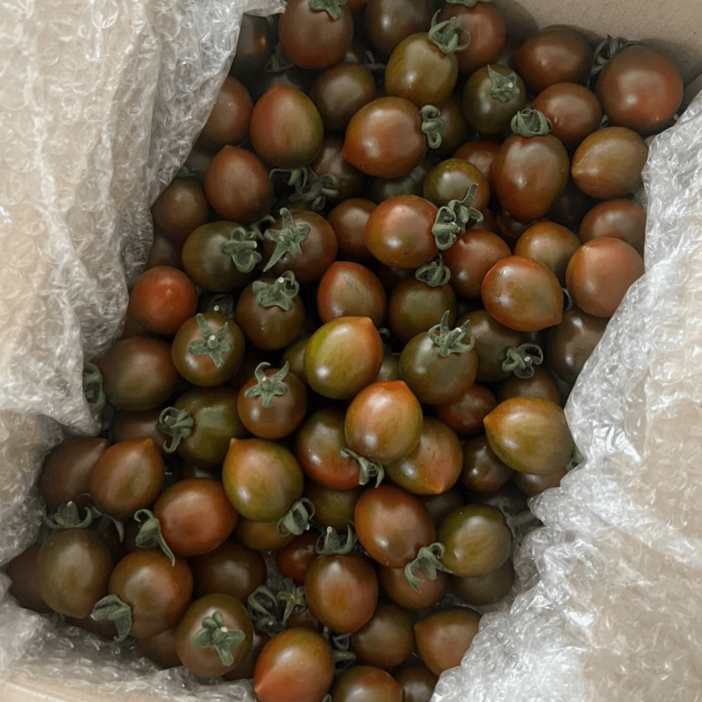 [할인행사] 산지직송 국내산 흑방울토마토 500g,1kg,2kg, 1개, 흑대추방울토마토 1kg 18,980원