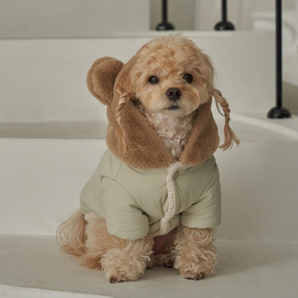 베일리펫 강아지 겨울 하네스옷 후드 테디 포근 패딩 28,900원