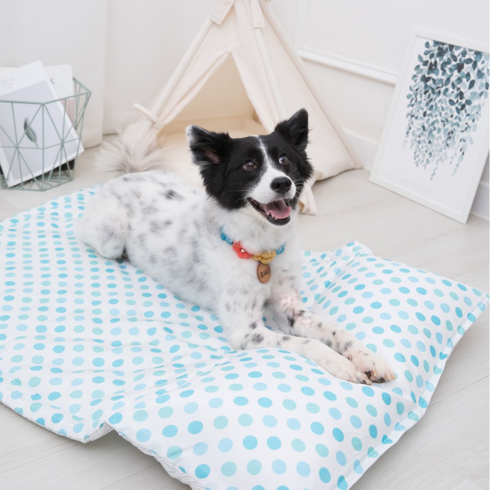 올마이펫 시원한 인견 강아지 베개방석매트 32,900원