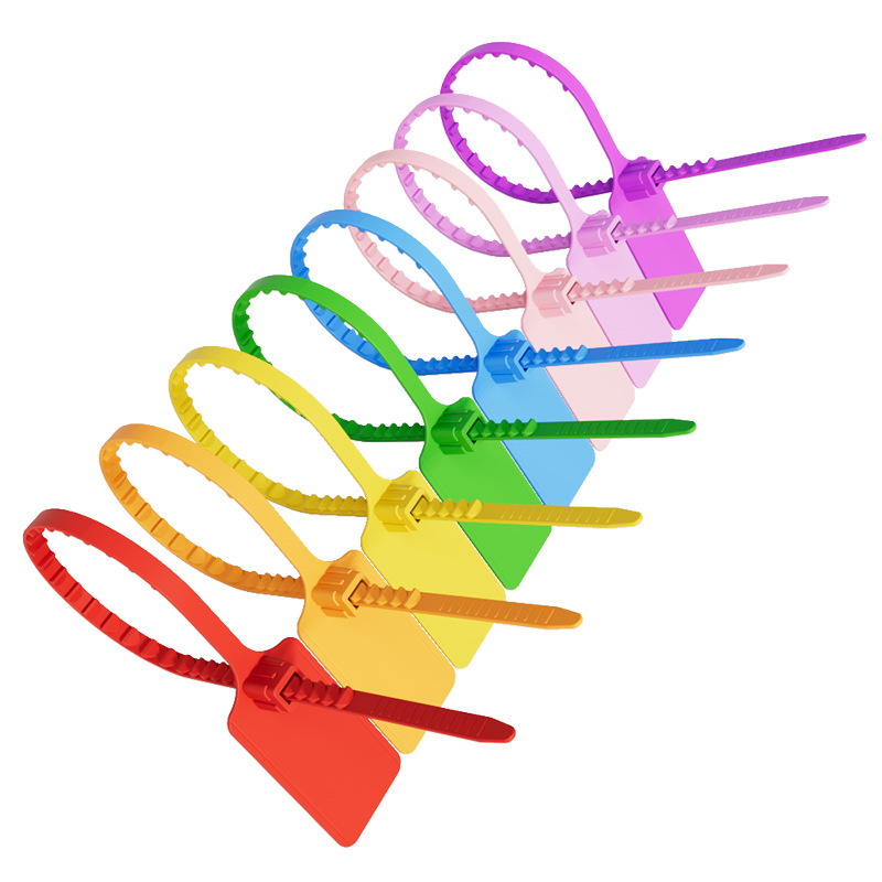 컬러네임타이 10종 30P 캐리어네임택 네임택 네임텍 가방네임텍 이름표고리 이름키링 골프네임택 네임택스티커 러기지택 키고리네임택1호, 노랑, 30개 16,900원