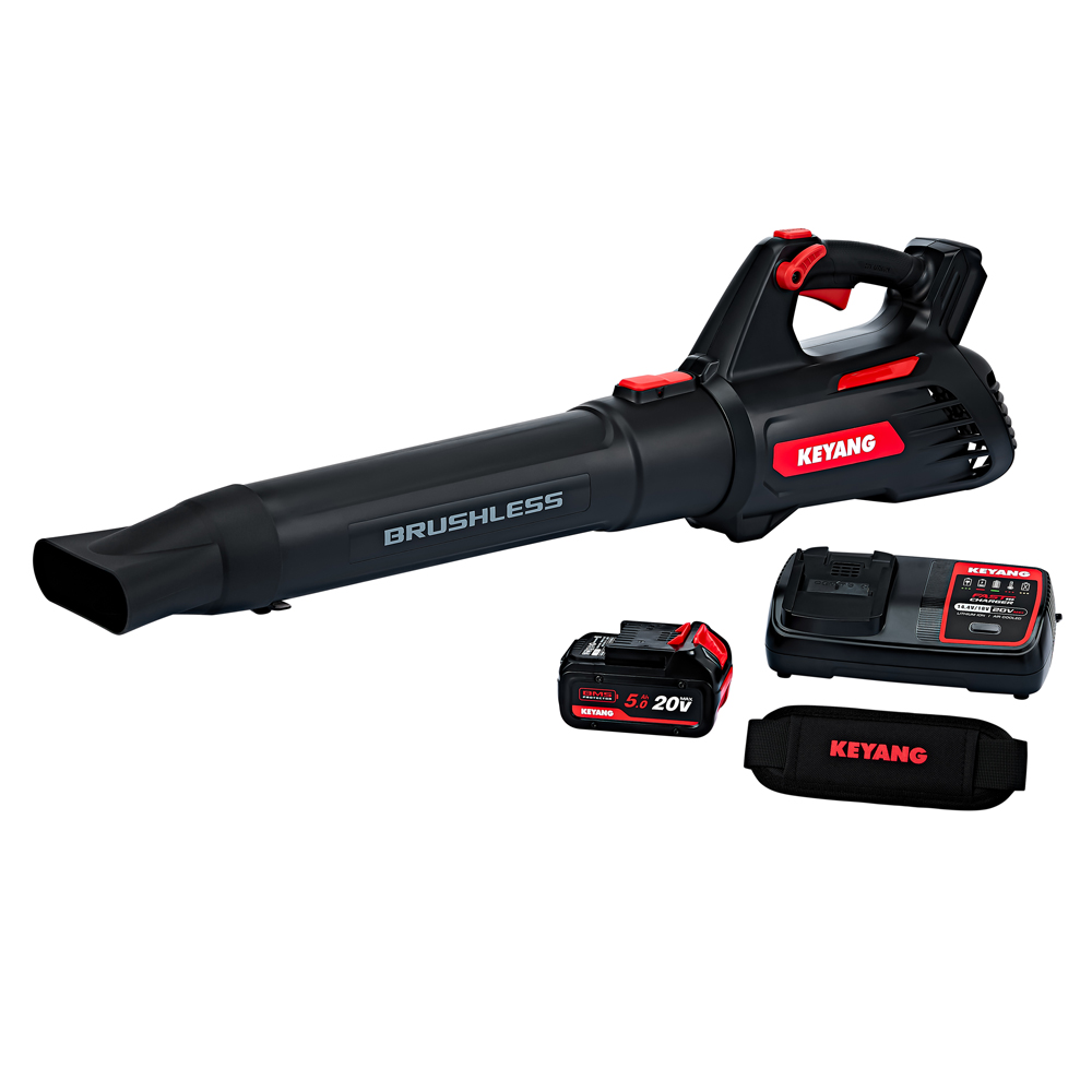 계양 BLDC 무선 송풍기 BR20BLBC 무선 대포 낙엽 송풍기 20V MAX 제설 세차, 1세트 219,000원