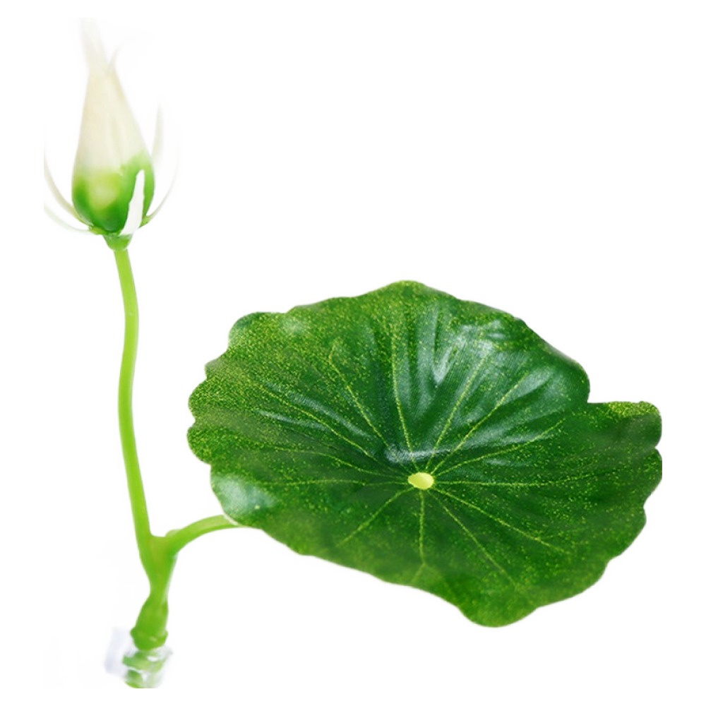 레몽크리프 어항 연꽃 물고기 베타 침대 4,700원