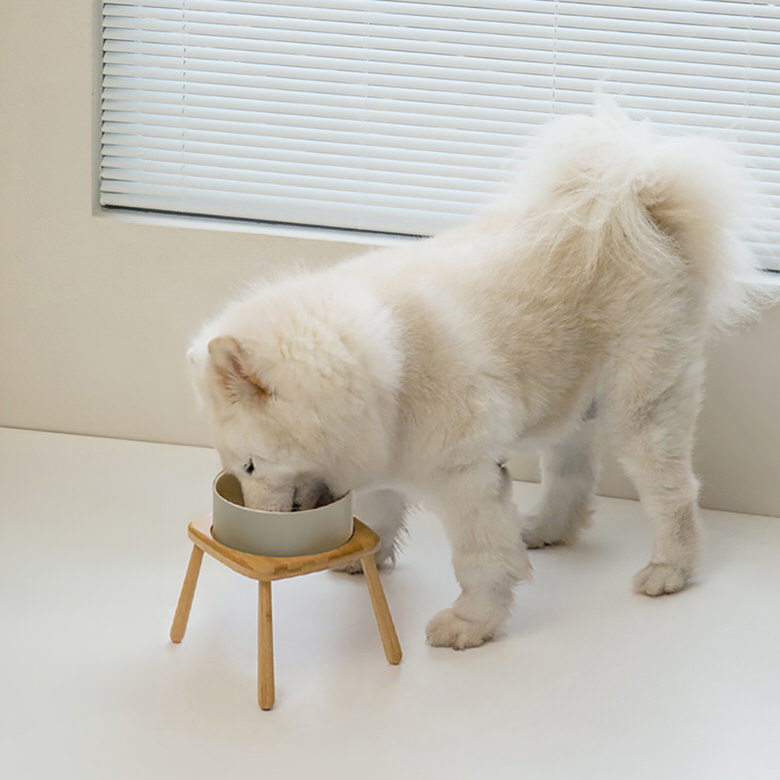 리엔떼 세밤 중형견 대형견 펫 식기, 1800ml, 25.5cm, 1개, 화이트 32,900원