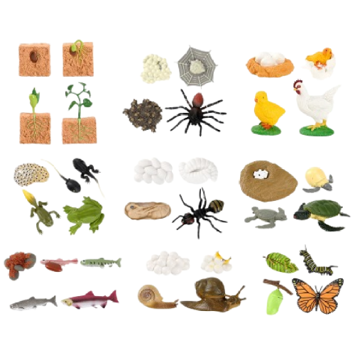 [캐스B] 네이처 성장과정 피규어 9종 +활동지 과학교구 성장주기 동물 곤충모형(1061set) 82,400원