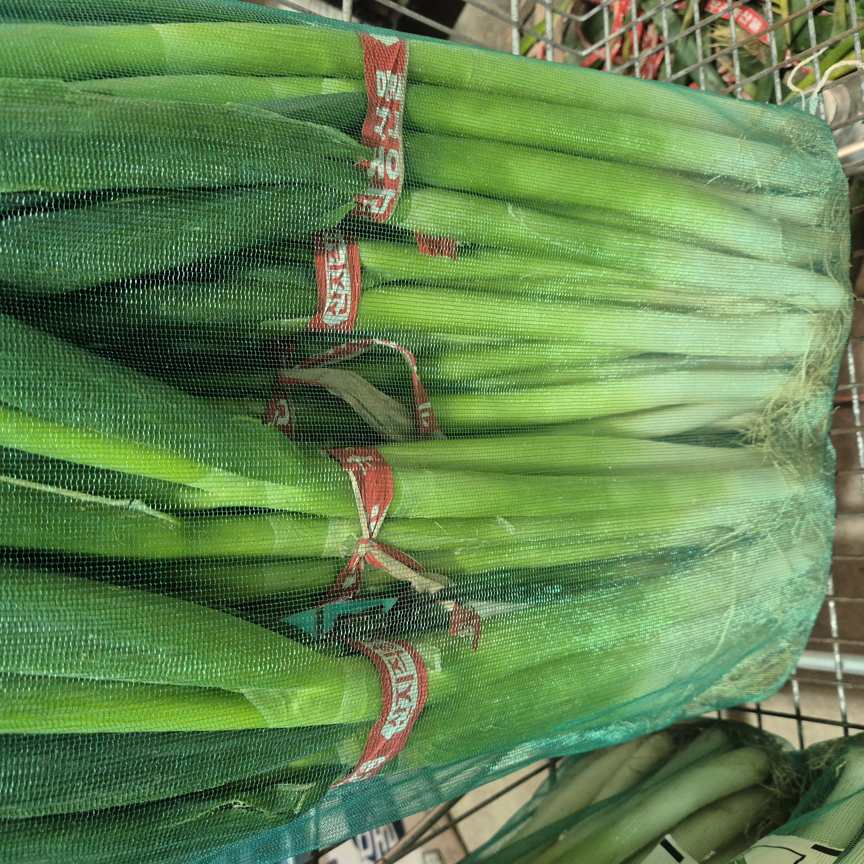 국내산 신선한 손질 대파, 1개, 10kg 23,800원