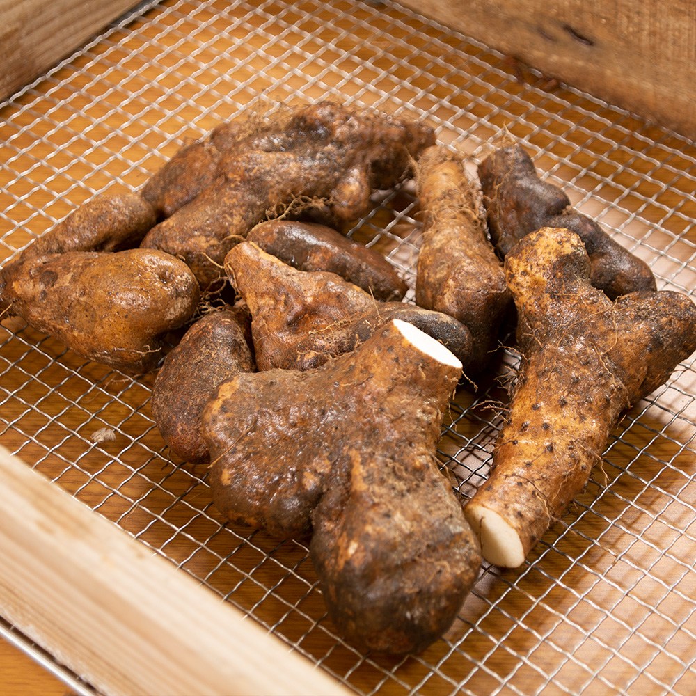 태산농장 안동 태산농장 2025햇마 산마 산약 참마, 1박스, 2kg (a.산마파지) 14,300원