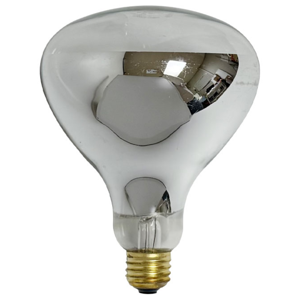 보온등 열전구 적외선 전구 램프 250w, 10개 40,000원